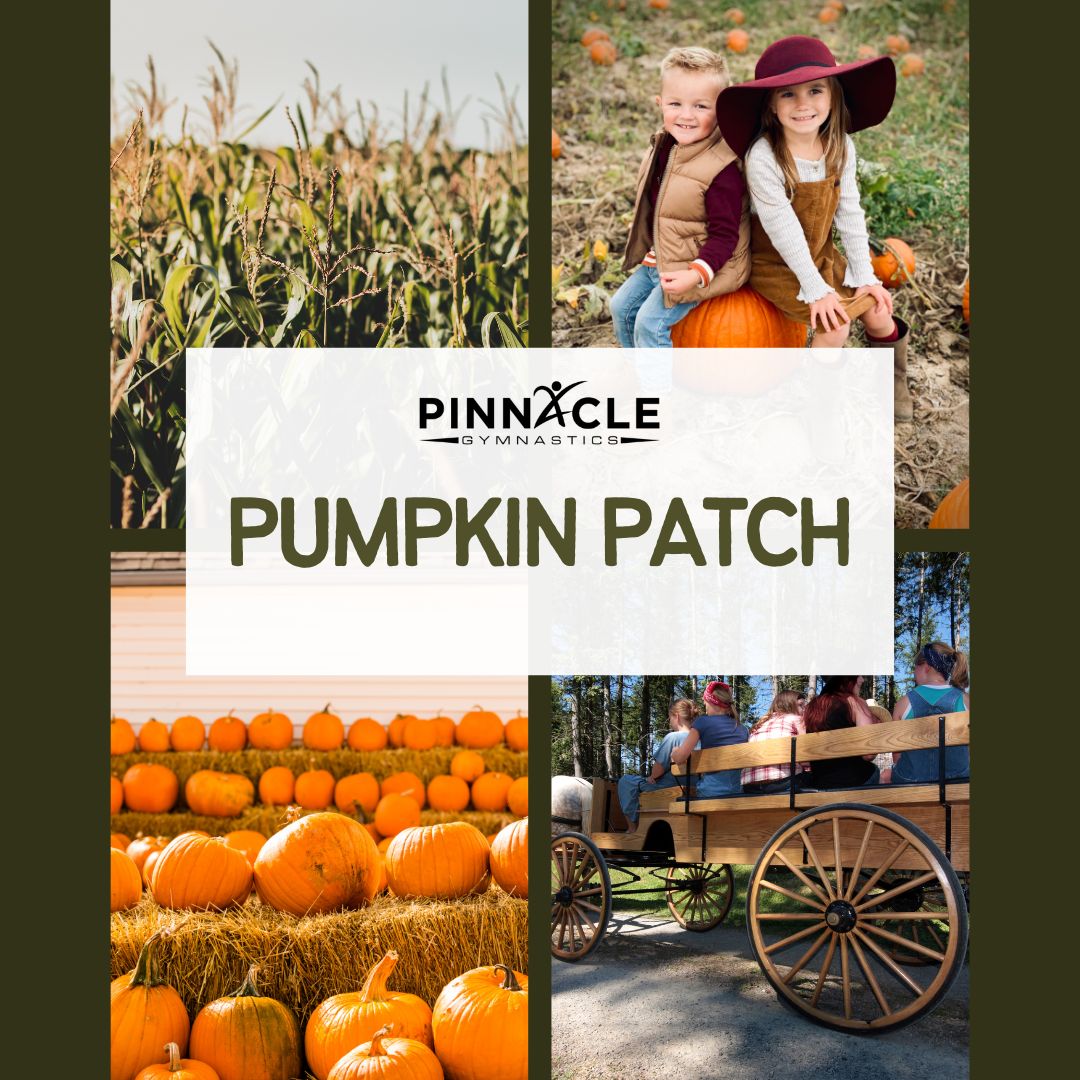 Top 6 KC Pumpkin Patches